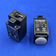 3147 Выключатель концевой ZS 231-01R-1256-1